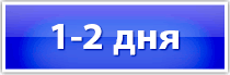 2-3 дня
